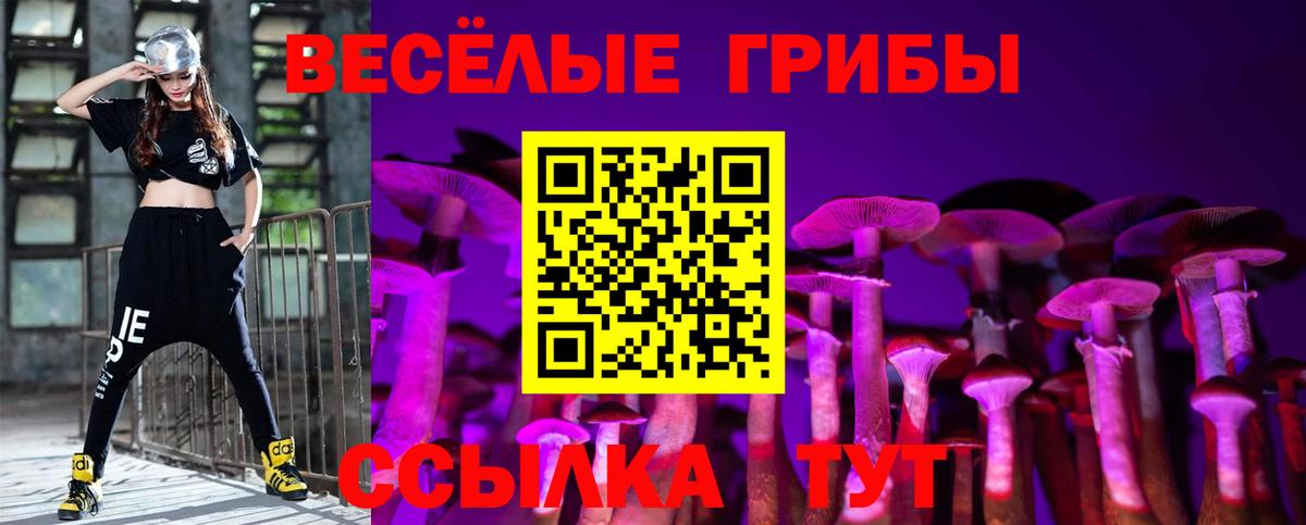 Псилоцибиновые грибы Cubensis Урай