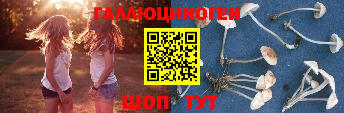 Галлюциногенные грибы Psilocybine cubensis  купить  сайты  Урай  Псилоцибиновые грибы Psilocybine cubensis  Вход с VPN 